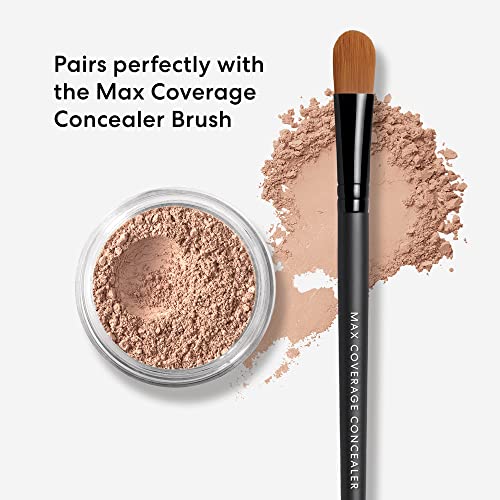 bareMinerals Bisque Loose Powder Concealer SPF 20 - Talc-Free Undereye Coverup