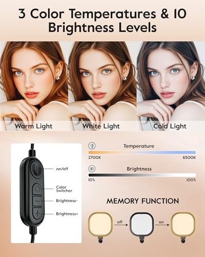 Black 2-Pack Video Conference Light for Zoom with Stand - 30 Modes, CRI>98