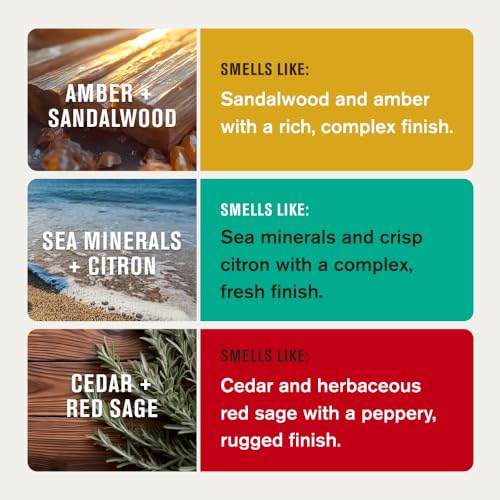 Every Man Jack Aluminum Free Deodorant 3-Pack Men’s Assorted Scents - Woodsy & Fresh