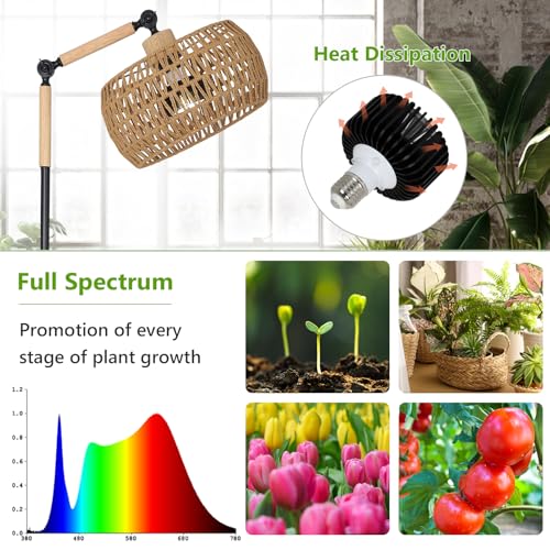 Full Spectrum Indoor Plant Grow Light with 20W COB, Adjustable Height & Timer