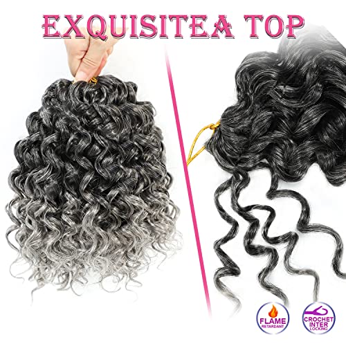 Nanciciar 8 Inch T/Grey Curl Crochet Hair 6 Packs Short Water Wave Braids