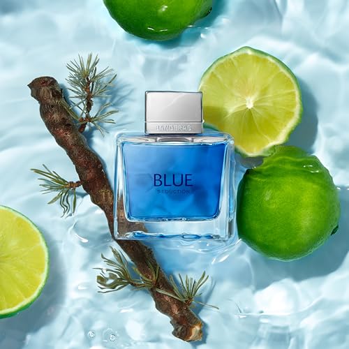 Men's Blue Seduction Eau de Toilette Spray 3.4 Fl Oz - Banderas