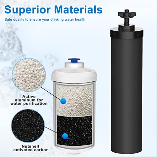 DTESL 4 Black & 4 Fluoride Water Filter Replacement Set for Ber-key BB9-2 & PF-2 Systems