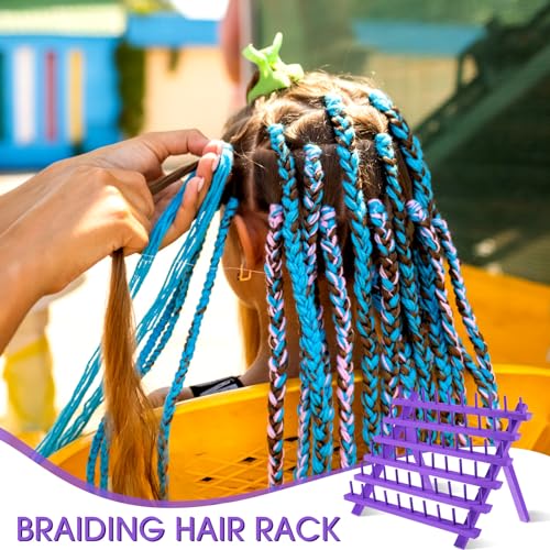 Juexica 19 Pcs Braid Hair Extension Stand Organizer Set, 6-Tier, Purple Mixed Color