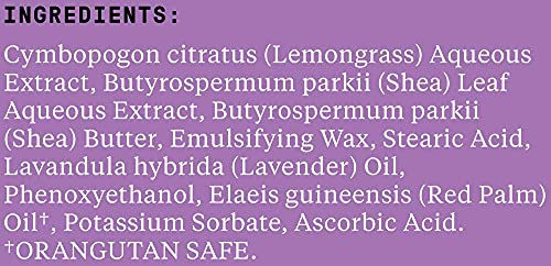Alaffia Lavender Shea Body Lotion 2 Pack - Moisturizing Support for Dry Skin, 16 Fl Oz