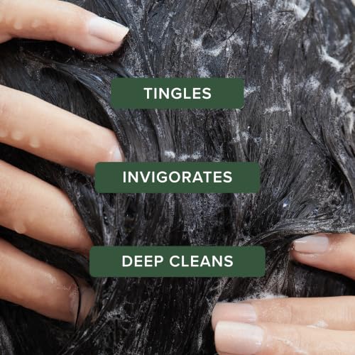 Tea Tree Special Shampoo 16.9 Fl Oz Deep Cleanses Oily Hair & Refreshes Scalp