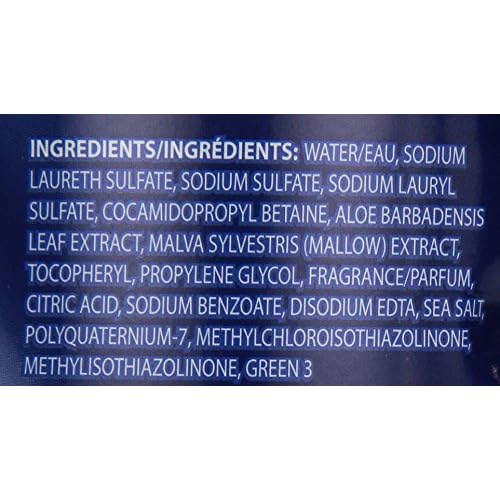 Zest Moisturizing Body Wash, Ocean Energy, 18 oz