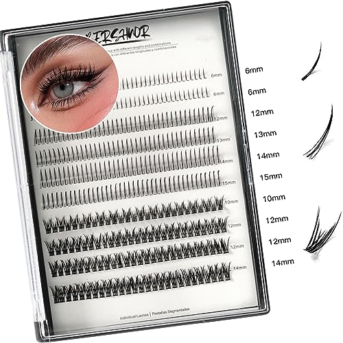Bluesmurfs Individual False Lash DIY Eyelash Extensions 348 Clusters Lashes CD Curl Long Lashes Volume Individual Lashes Mixed Tray Faux Mink Fake Eyelashes Top Bottom Lashes DIY at Home (6-15mm MIX)