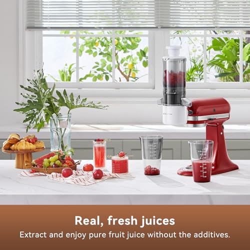 KITCHTREE Slow Juicer Attachment for KitchenAid Stand Mixers - White & Grey