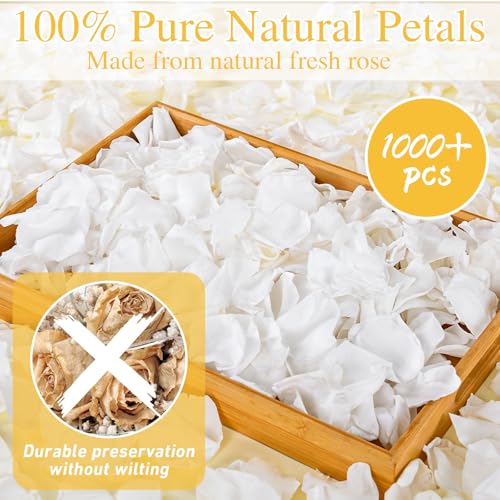 Koceko White Dried Rose Petals 8.47oz (240g) - Real Preserved Wedding & Party Decor
