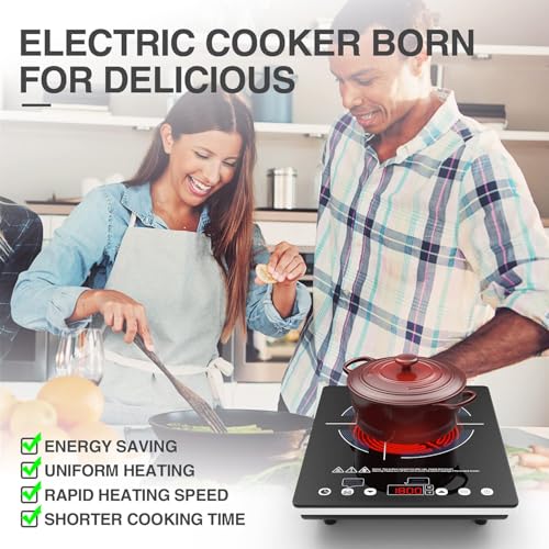 Portable Electric Cooktop 110V Single Burner with LED Touch Control 9 Power Levels
