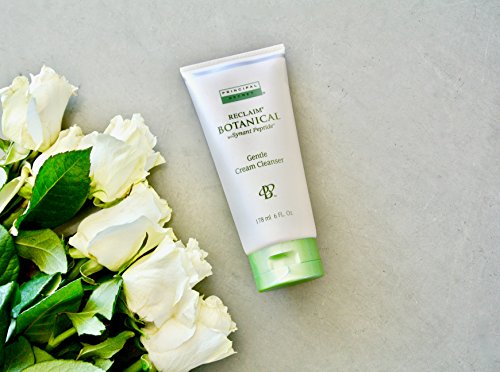 Gentle Botanical Facial Cleanser with Green Tea & Shea Butter - 6oz