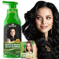 Herbishh Natural Black Hair Dye Shampoo 500ml for Gray Hair Coverage
