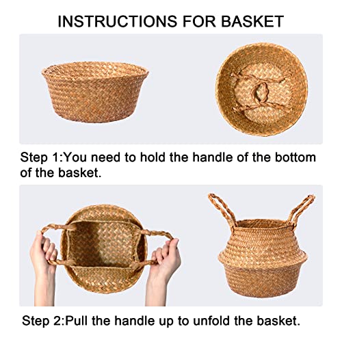 6ft Bird of Paradise Artificial Plant with Woven Basket - Faux Indoor Decor