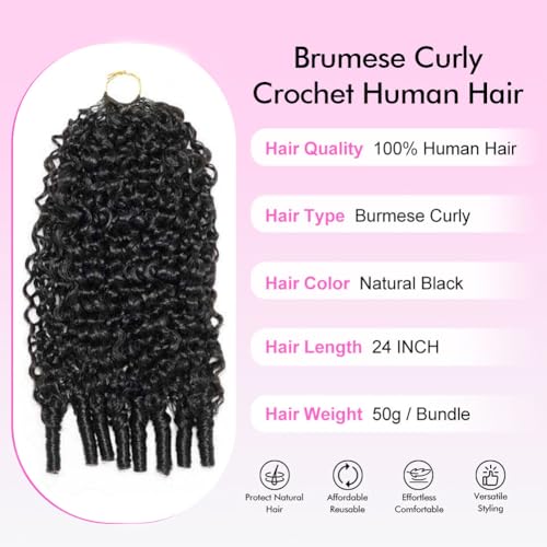 Black 20 Inch Burmese Curly Human Hair Crochet Bundles 100G - Natural Shine