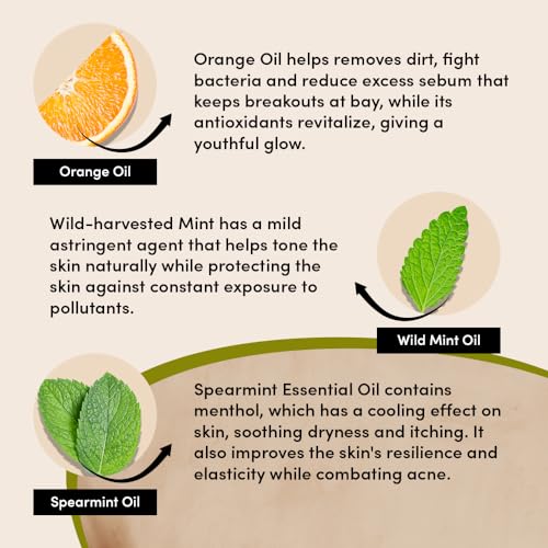 Urban Veda Purifying Day Cream | Mattifying Moisturizer for Men & Women | Oil & Acne Control | Antibacterial active Neem & Tea Tree | Vegan & Cruelty Free | For Oily & Congested Skin 1.7 Fl Oz.