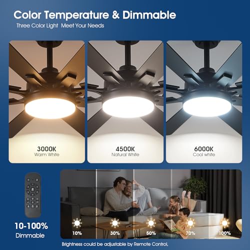 52-Inch Indoor Outdoor Ceiling Fan with Lights - Black, Remote & App Control