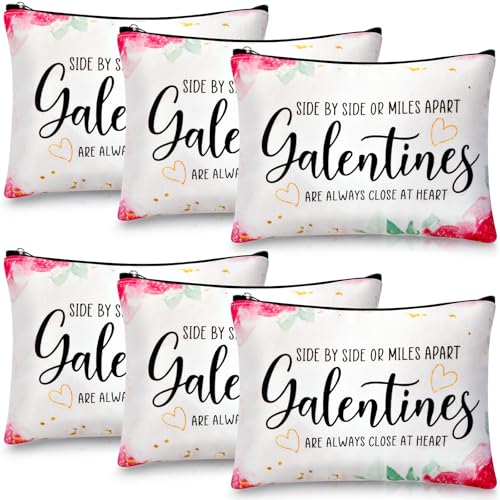Reginary 6 Pcs Galentines Day Gifts Galentines Makeup Bag for Her Friend Appreciation Gifts Makeup Bag for Women Valentines Friends Female Sister