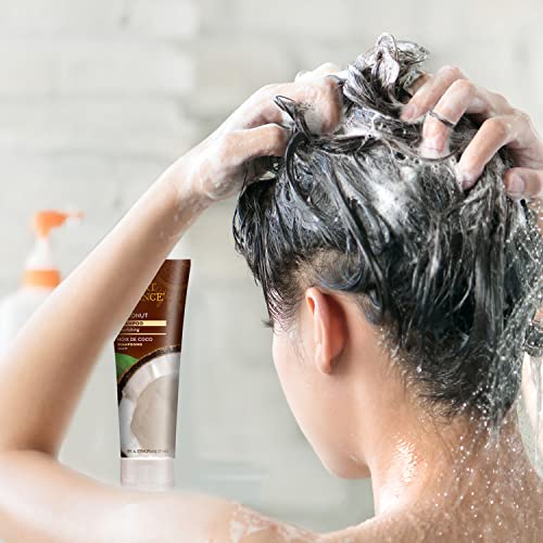 Desert Essence Coconut Moisturizing Shampoo Set - 8 Fl Oz Pack of 2