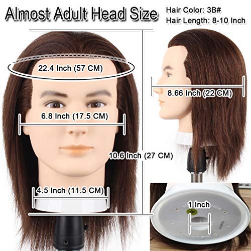 Male Mannequin Head with 100% Human Hair for Hairdressing Training, Styling & Practice