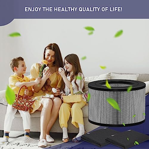 White HEPA & Carbon Pre-Filter Set for Honeywell Air Purifiers - 50250-S Variation