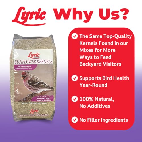 25 lb Wild Bird Seed with Sunflower Kernels No Waste | Attracts Finches & Songbirds