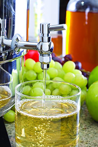 Stainless Steel Steam Juicer for Fruits Vegetables & Canning - 8 Qt. Container