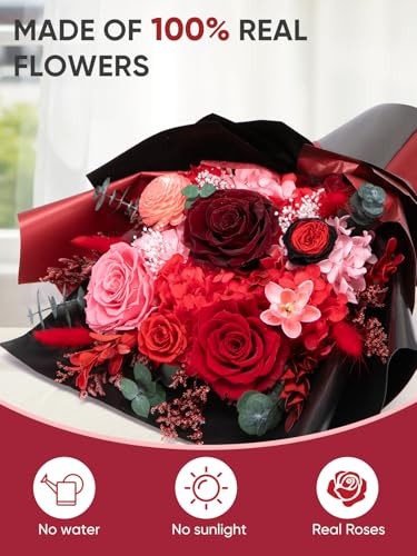 Red Preserved Flower Bouquet Large - Forever Fresh Rose Gift for Women & Special Occasions