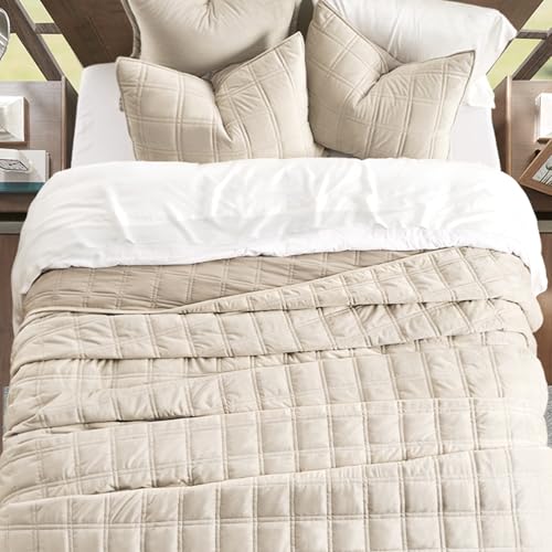 Double Box Stitch Velvet Quilt Set - King Beige Luxurious Bedding with Sham, Oversized