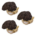 Natural Elephant Pack of 3 Moroccan Pumice Stones for Feet Exfoliation & Callus Removal