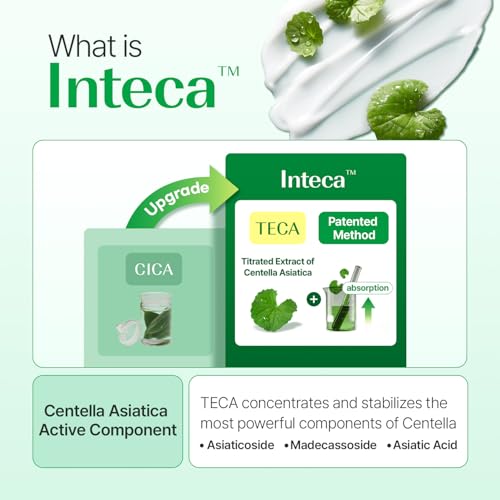 MAKE P:REM INTECA Soothing CICA Cream 3.38 Fl Oz - Deep Absorption & Calming