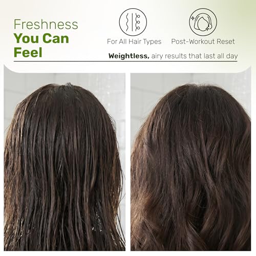 Sulfate-Free Tea Tree Lemon Shampoo for Dry & Oily Hair 16 oz - Daily Use