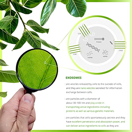 Plant Exosome Hydrating Toner for Sensitive Skin - Korean Glass Skin Facial, 4.05 Fl Oz