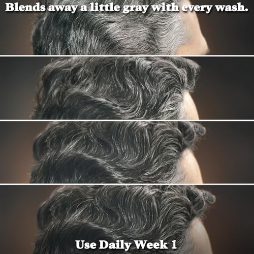 Just for Men Control GX Grey Reducing Shampoo 4 Fl Oz Pack of 6 for Light Hair Shades