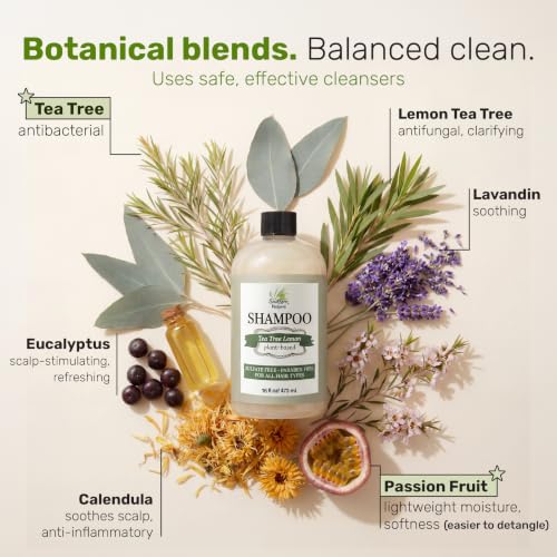 Sulfate-Free Tea Tree Lemon Shampoo for Dry & Oily Hair 16 oz - Daily Use