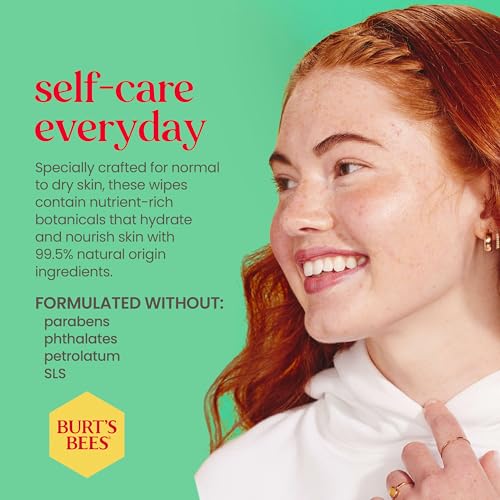 Burt's Bees Cucumber & Mint Facial Wipes 30 Pack (3-Pack) - Natural Makeup Remover & Cleanser