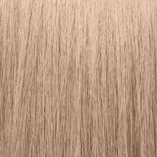 ion HL B Hi Lift Ash Blonde Permanent Liquid Hair Color