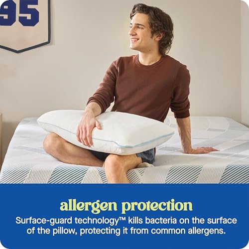 2 Pack Queen Size Memory Foam Cooling Pillows with Surface Guard Tech