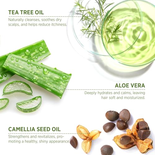 Roycederm Tea Tree Antifungal Shampoo & Conditioner Set for Scalp Care - Folliculitis Relief, Dry & Itchy Scalp, Paraben & Sulfate Free
