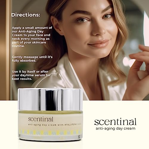 Secura Moisturizer Cream, 59431900, 3oz Tube (each)