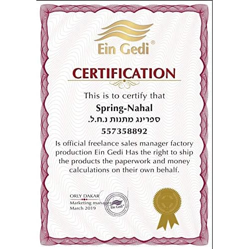 Ein Gedi Anointing Oil 100 ml - 3.4fl oz Blessing From Jerusalem Made In Holyland For Prayer And Blessings Scented With Oils Of The Bible