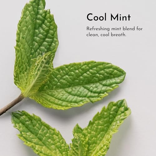 Remineralizing Tooth Powder - Fluoride-Free, 1 oz - Gentle Oral Care for Sensitive Teeth - Pack of 1