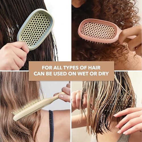 Detangler Hair Brush Set - 4PK for Curly, Thick, Wavy & Thin Hair with Ventilation Holes