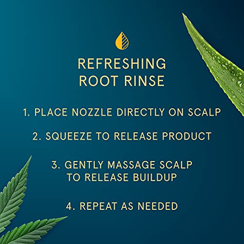 Royal Oils by Head & Shoulders Refreshing Root Rinse with Aloe Water and Hemp Oil, 12 fl oz