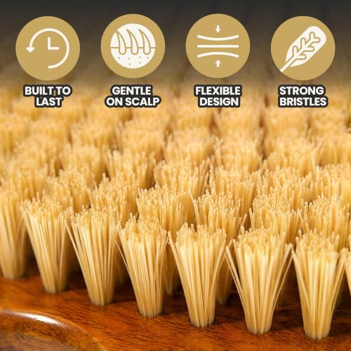 Kosher 360 Wave Brush with Handle - Vegan Agave Bristle Hard Medium for Curly Coarse Wavy Hair