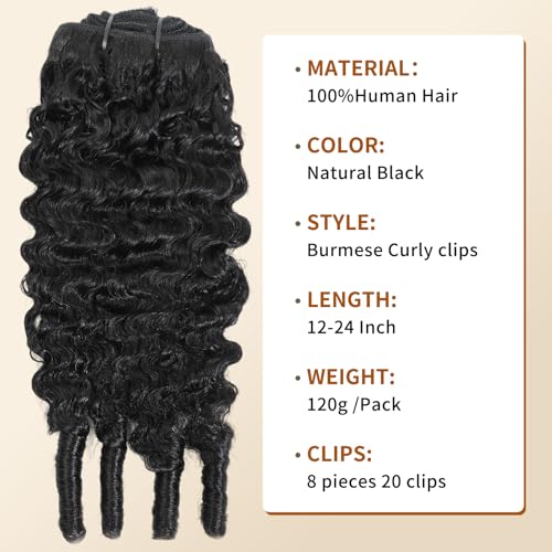 Clip-In Burmese Curly Hair Extensions - Natural Black, 12 Inch, Variation 1B