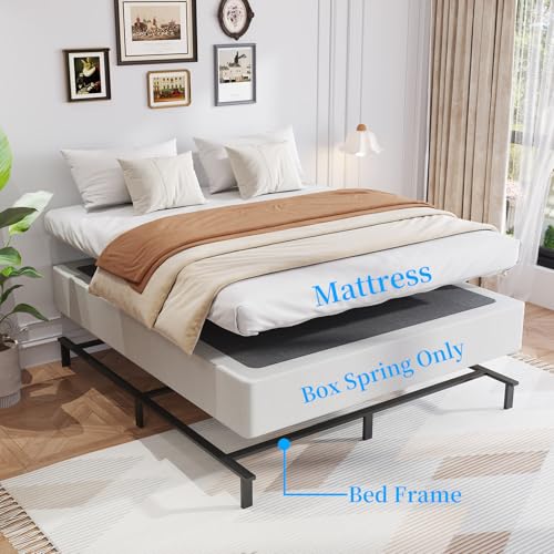 8 Inch Queen Box Spring - Heavy Duty Metal Mattress Foundation - Supports 3000 lbs - Variation: Queen / 8 Inch