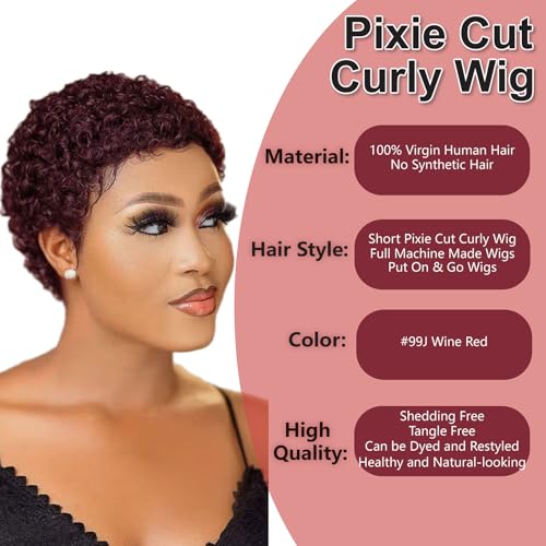 Burgundy Afro Kinky Curly Wigs for Black Women Short Pixie Cut Human Hair - Glueless 99J Style