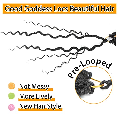 Pre-Looped Goddess Locs Crochet Hair 14 Inch - Black, 8 Pack with Accessories - Variation #1B