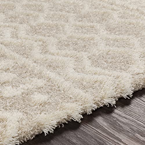 Livabliss Moroccan Shag Area Rug 5'3" x 7'3" Beige Modern Home Decor